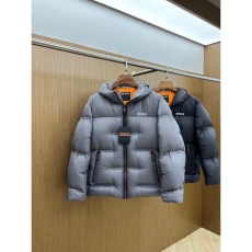 Zegna Down Jackets